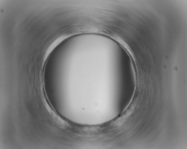 X0000060801389200511241859