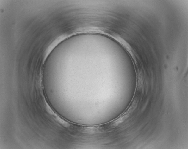 X0000060801390200511241859