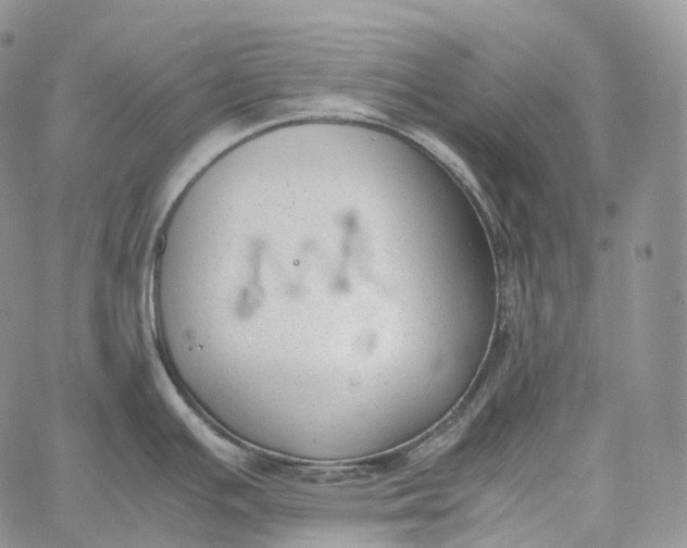 X0000060801391200511241859