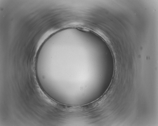 X0000060801392200511241859