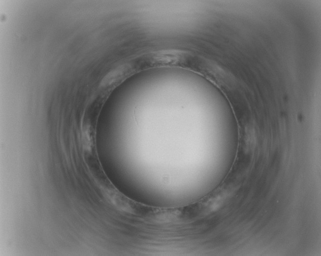 X0000060801394200511241858