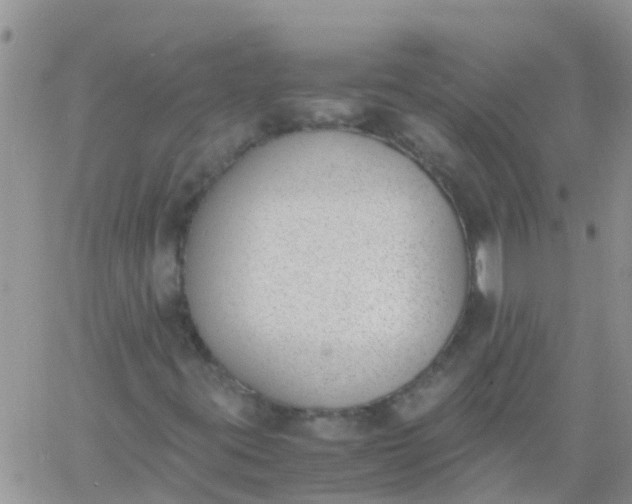 X0000060801395200511241858