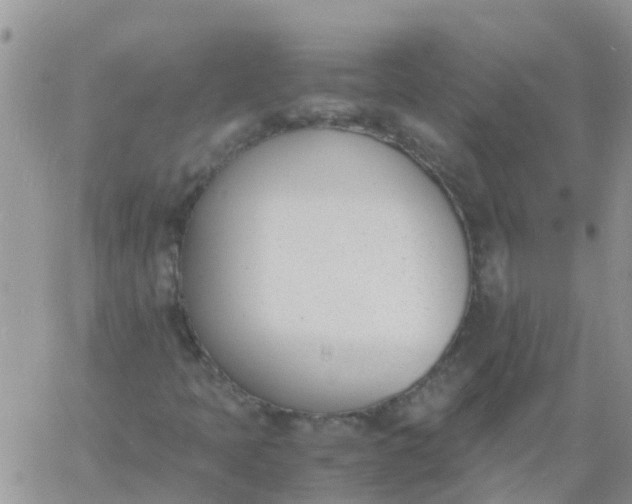 X0000060801397200511241858