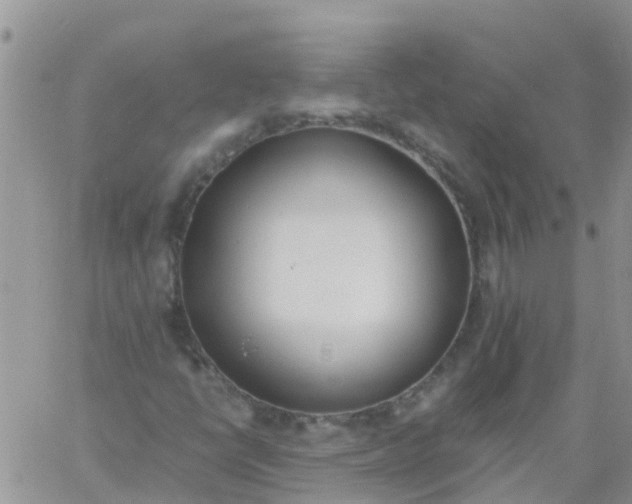 X0000060801398200511241858