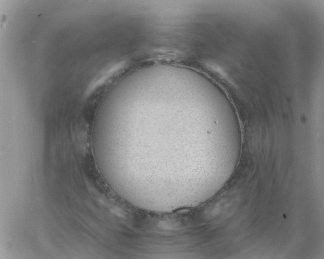 X0000060801399200511241858