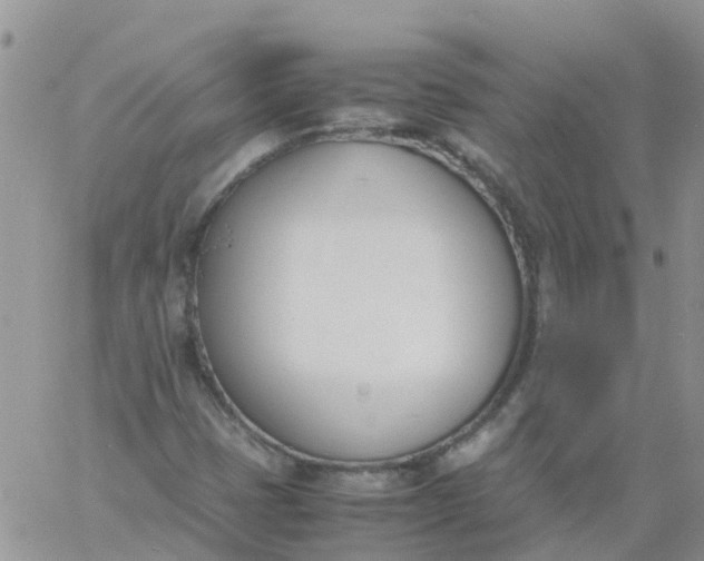 X0000060801401200511241858