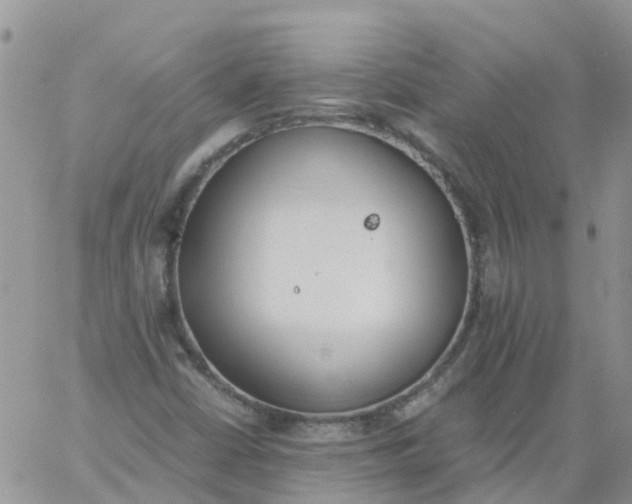 X0000060801402200511241858