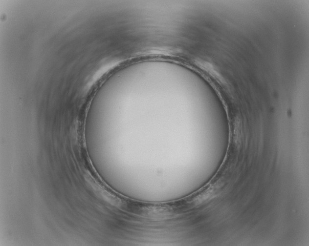 X0000060801404200511241858