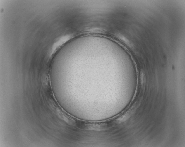 X0000060801405200511241858