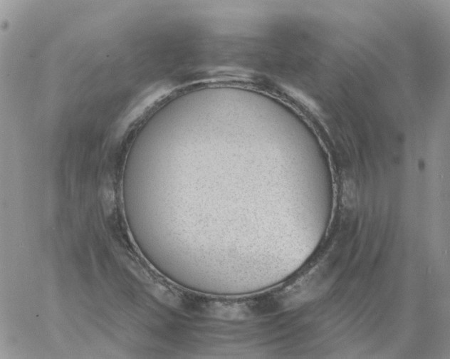 X0000060801407200511241858