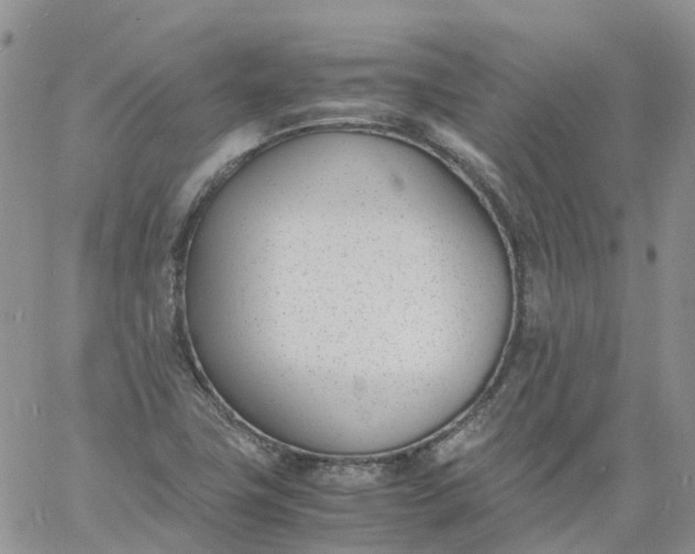 X0000060801411200511241859