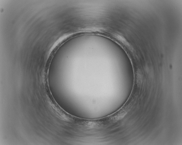 X0000060801412200511241859