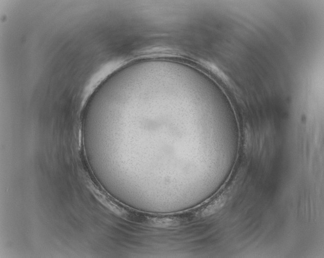 X0000060801413200511241859