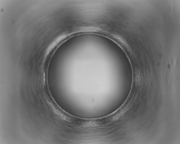 X0000060801414200511241859