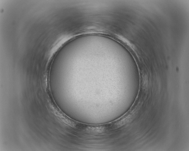 X0000060801415200511241859