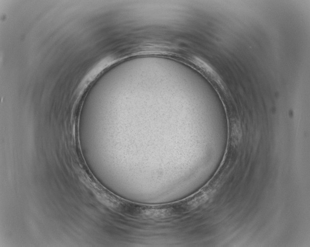 X0000060801419200511241859