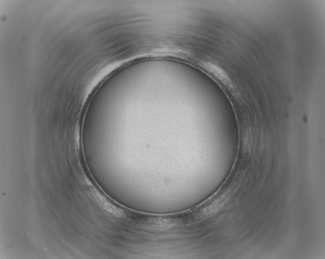 X0000060801420200511241859