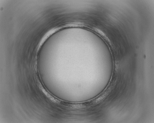 X0000060801421200511241859