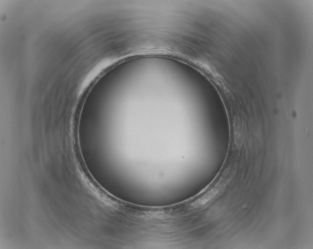 X0000060801422200511241859