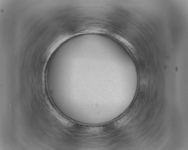 X0000060801423200511241859