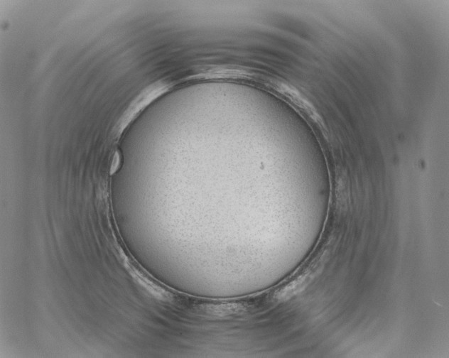 X0000060801425200511241859