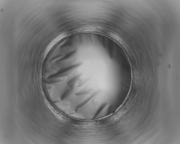 X0000060801426200511241859