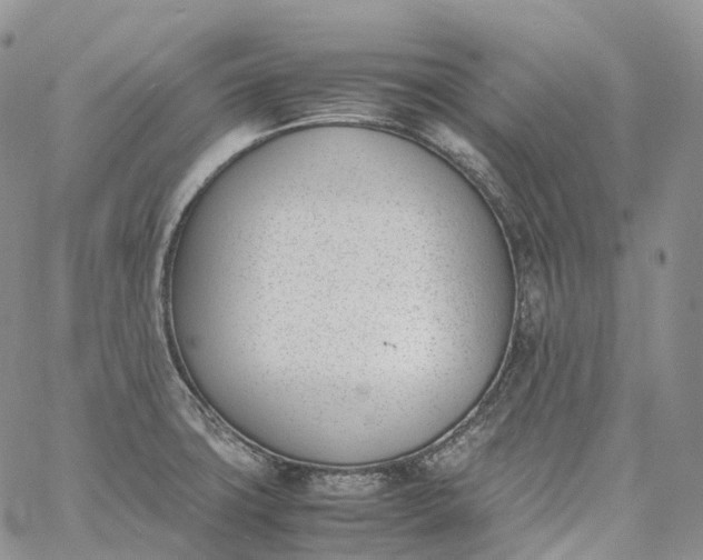 X0000060801427200511241859