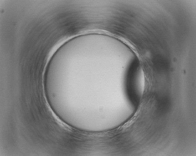 X0000060801430200511241859