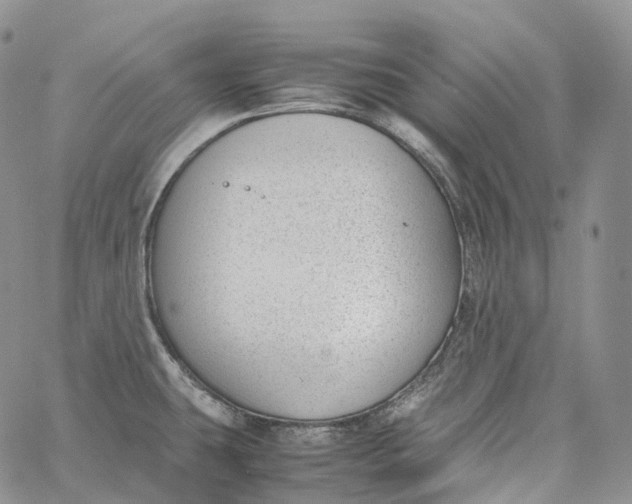 X0000060801431200511241859