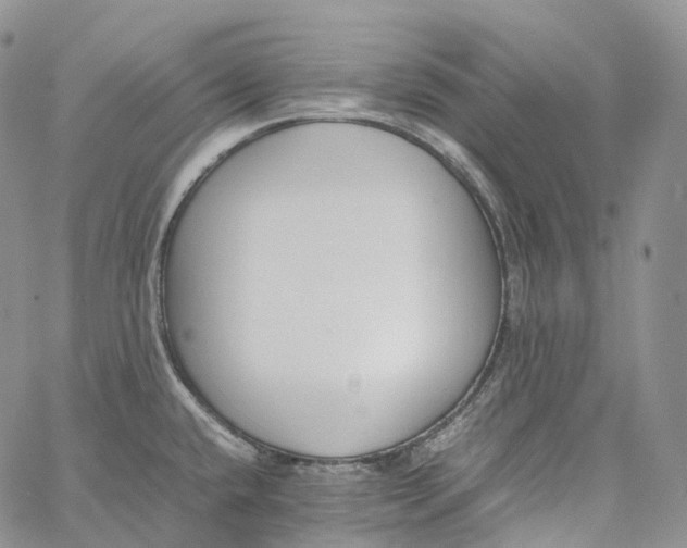 X0000060801432200511241859