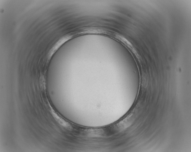 X0000060801433200511241859