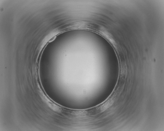 X0000060801434200511241859