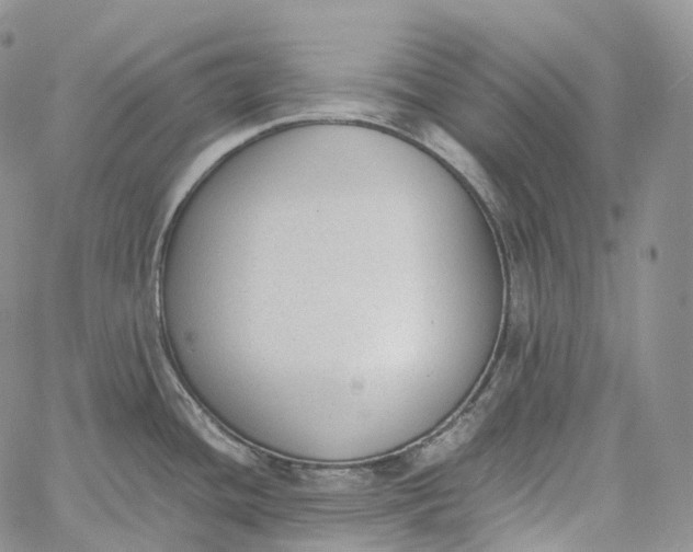 X0000060801436200511241859