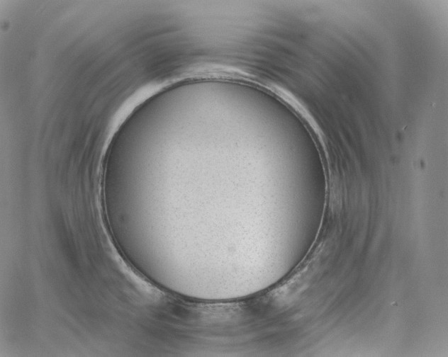 X0000060801437200511241859