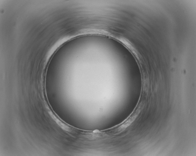 X0000060801438200511241859