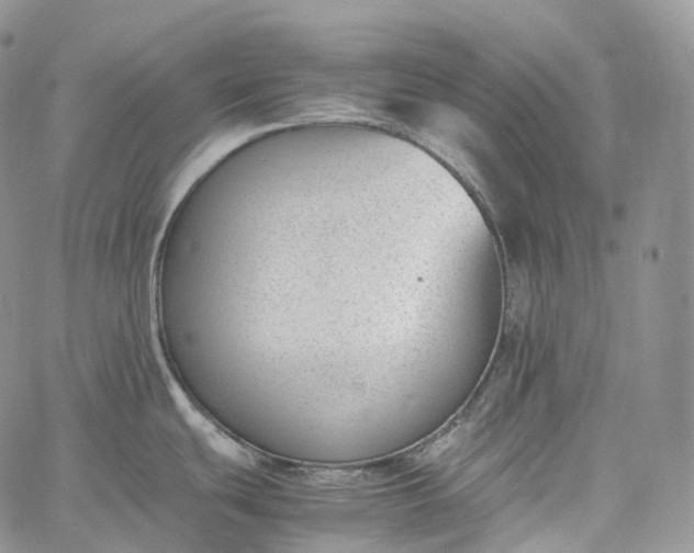 X0000060801439200511241859