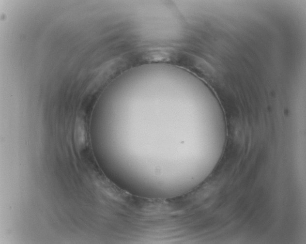 X0000060801442200511241858