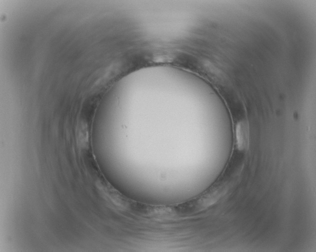 X0000060801443200511241858