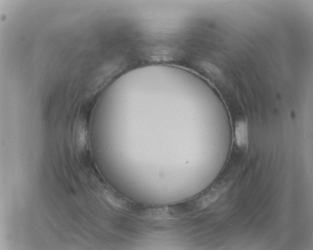 X0000060801444200511241858