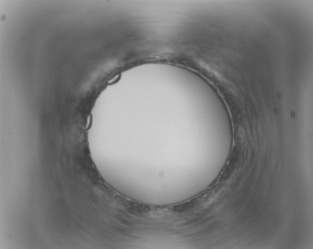 X0000060801447200511241858