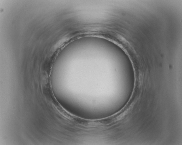 X0000060801449200511241858