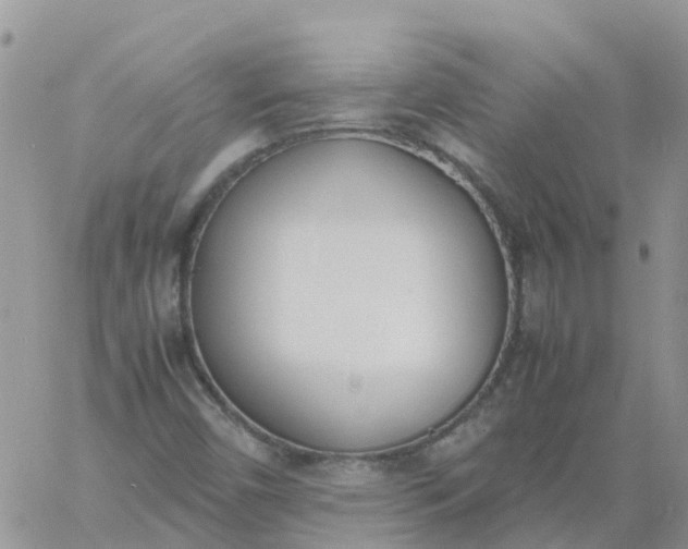 X0000060801450200511241858