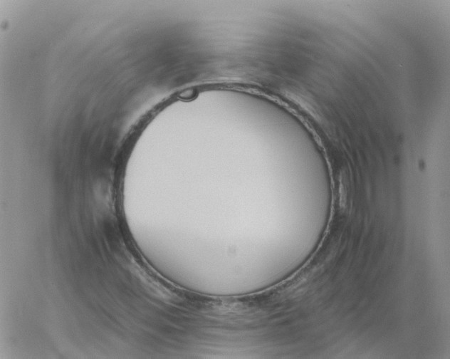 X0000060801452200511241858