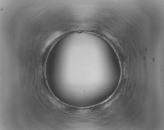 X0000060801453200511241858