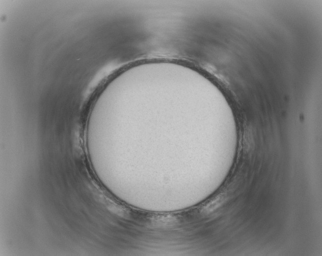 X0000060801454200511241858