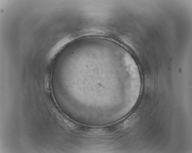 X0000060801455200511241858