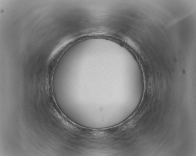 X0000060801456200511241858