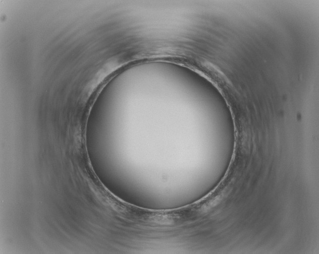 X0000060801457200511241858