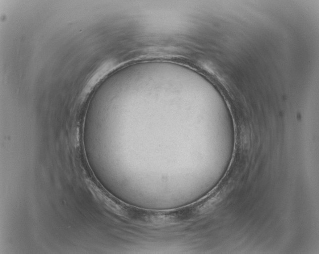 X0000060801459200511241858