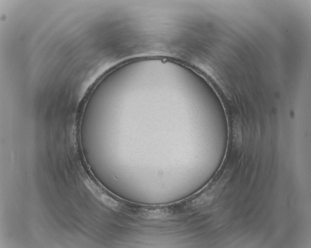 X0000060801460200511241858